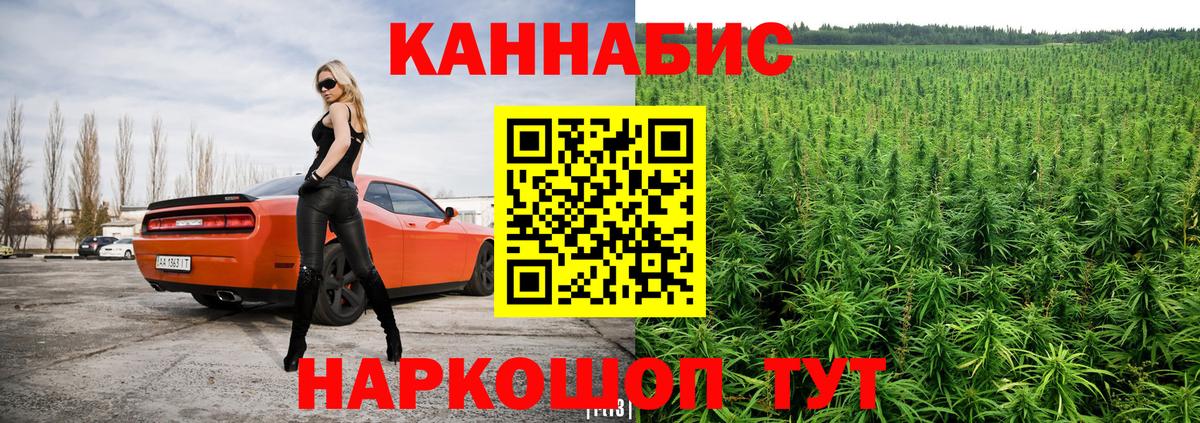 Бошки Шишки гибрид Аша