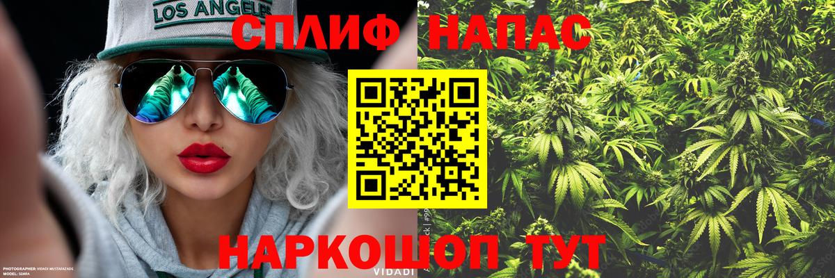Аша  Марихуана план  Марихуана THC 21%  Бошки Шишки конопля  Вход с VPN 